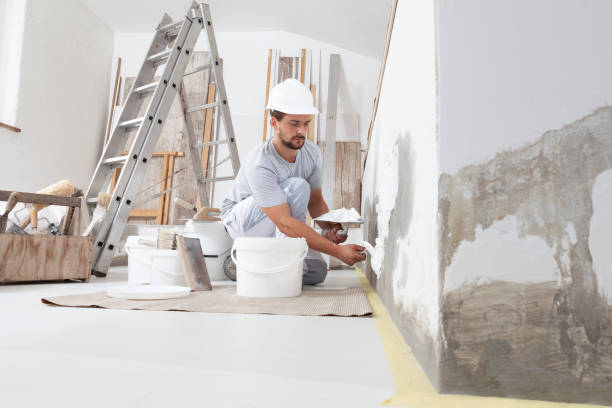 Best Basement Mold Removal  in Leonia, NJ